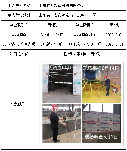 山東神力起重機械有限公司